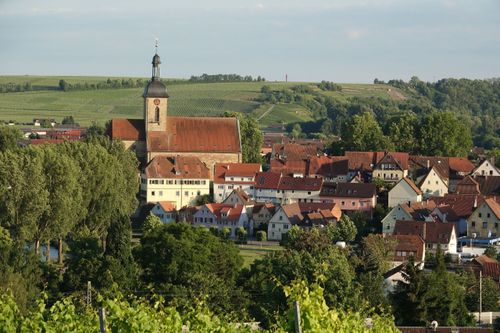 Bild der Stadt Lauffen am Neckar